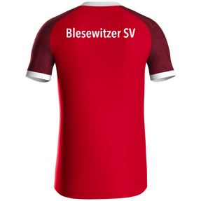 Blesewitzer SV Trikot Iconic KA