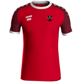 Blesewitzer SV Trikot Iconic KA