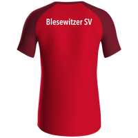 Blesewitzer SV T-Shirt Iconic