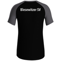 Blesewitzer SV T-Shirt Iconic
