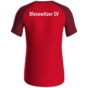Blesewitzer SV T-Shirt Iconic