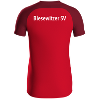 Blesewitzer SV Polo Iconic