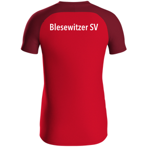 Blesewitzer SV Polo Iconic