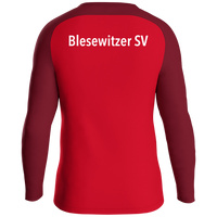 Blesewitzer SV Sweat Iconic