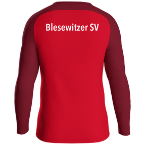 Blesewitzer SV Sweat Iconic