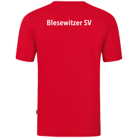 Blesewitzer SV T-Shirt Organic