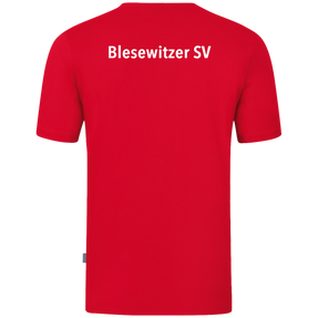 Blesewitzer SV T-Shirt Organic