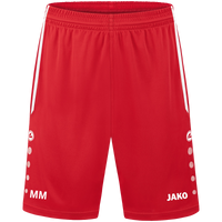 SG Reisach Sporthose Allround