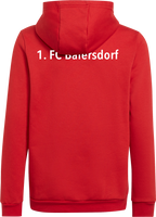 1. FC Baiersdorf Entrada 22 Sweat Hoodie
