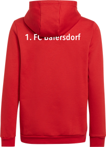 1. FC Baiersdorf Entrada 22 Sweat Hoodie