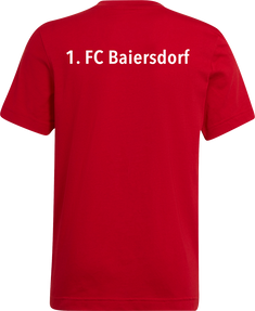 1. FC Baiersdorf Entrada 22 T-Shirt