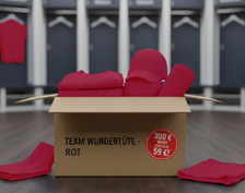 anstoss24 - Mystery Box in Vereinsfarben im Wert von über 300 €