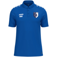 SV 03 Eisfeld Polo One