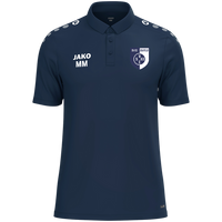 SV 03 Eisfeld Polo One