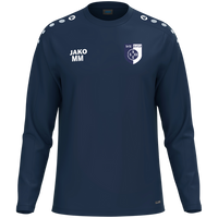 SV 03 Eisfeld Sweat One
