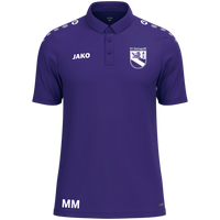 SV Steingriff Polo One