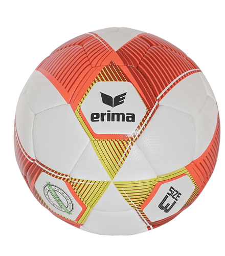 erima Jugendball - Hybrid Lite 290 v26