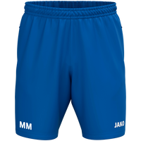 SV Großrückerswalde Webshort One