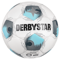 Ballset DERBYSTAR Trainingsball - Club TT inkl. Ballsack