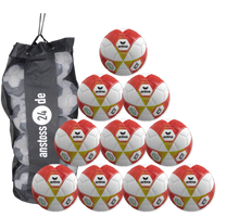 Ballset erima Jugendball - Hybrid Lite 290 v26 inkl. Ballsack