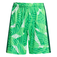 adidas Tiro 26 Competition Torwart Shorts