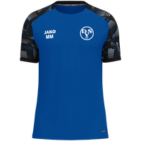 Dessauer SV 97 e.V. T-Shirt Sonic