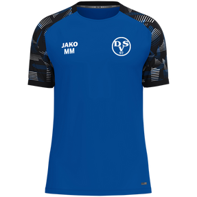 Dessauer SV 97 e.V. T-Shirt Sonic