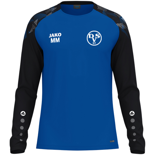 Dessauer SV 97 e.V. Longsleeve Sonic