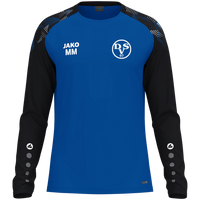 Dessauer SV 97 e.V. Longsleeve Sonic