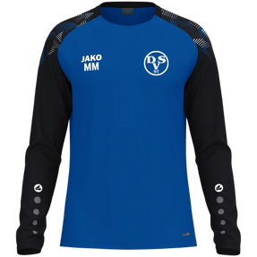 Dessauer SV 97 e.V. Longsleeve Sonic