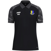 LSV 49 Oettersdorf Polo Sonic