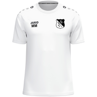 SC Ried  T-Shirt One Cotton