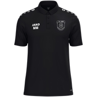 TV 1909 Weidenhausen Polo One