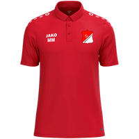 ASV Birkenheide Polo One