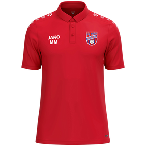 FV 1920 Merzien Polo One