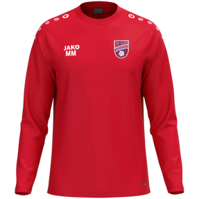 FV 1920 Merzien Sweat One