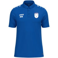 TSV Söhlde Polo One