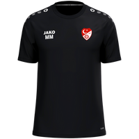 Türk Gücü Dingolfing T-Shirt One