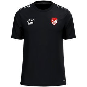 Türk Gücü Dingolfing T-Shirt One