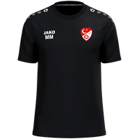 Türk Gücü Dingolfing T-Shirt One Cotton