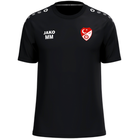 Türk Gücü Dingolfing T-Shirt One Cotton