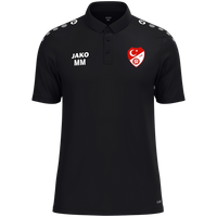 Türk Gücü Dingolfing Polo One