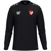 Türk Gücü Dingolfing Sweat One