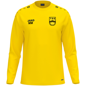 TSG Hainewalde Sweat One