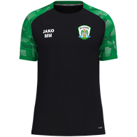 SG Leinatal T-Shirt Sonic