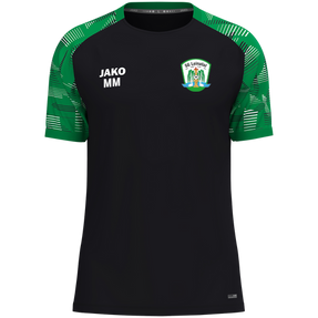 SG Leinatal T-Shirt Sonic