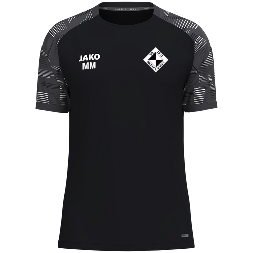 VfL Michelstadt T-Shirt Sonic