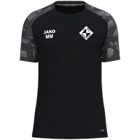 VfL Michelstadt T-Shirt Sonic