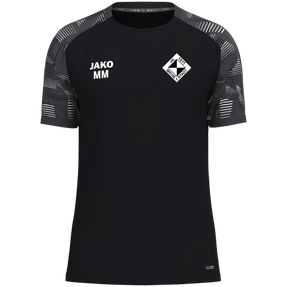 VfL Michelstadt T-Shirt Sonic