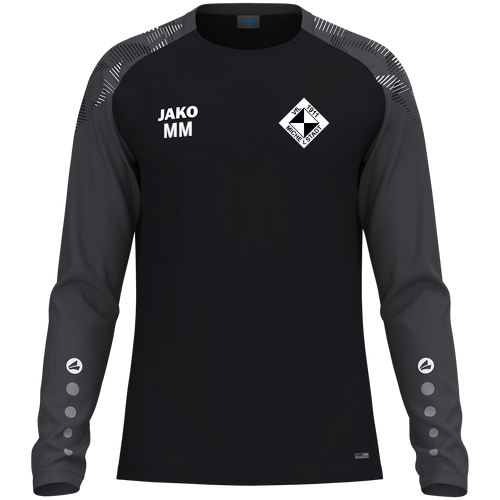 VfL Michelstadt Longsleeve Sonic